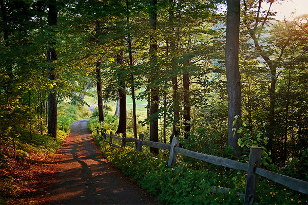 Path